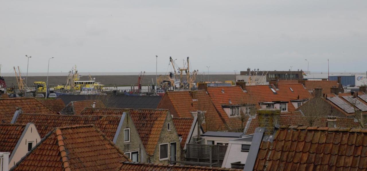 Garjen 3* Harlingen